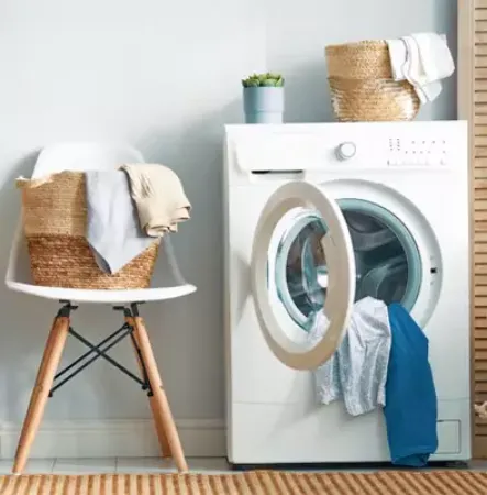 صورة لقسم أبيض عاجي