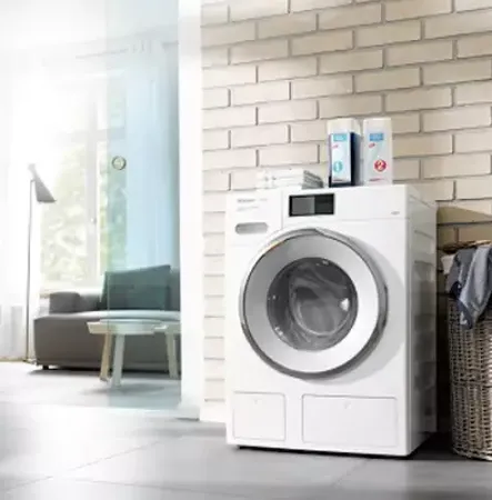 صورة لقسم حوض خارجي