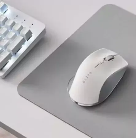 صورة لقسم فأرة