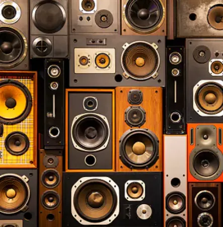 صورة لقسم آلات موسيقية